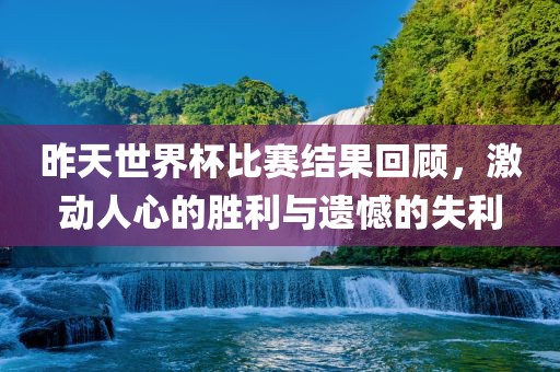 昨天世界杯比赛结果回顾，激动人心的胜利与遗憾的失利眉山市正发家政服务有限公司