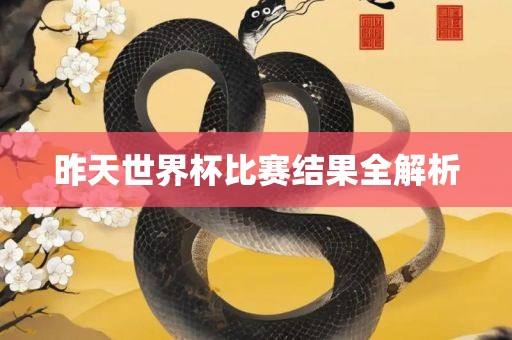 昨天世界杯比赛结果全解析
