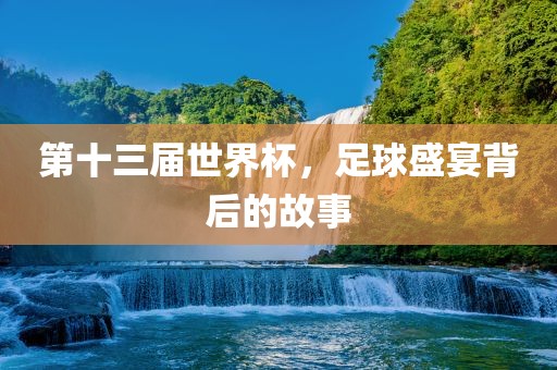 第十三届世界杯，足球盛宴背后的故事眉山市正发家政服务有限公司