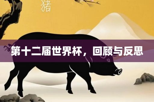 第十二届世界杯，回顾与反思