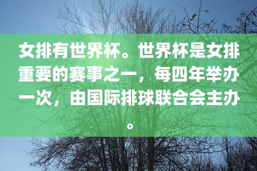 女排有世界杯。世界杯是女排重要的赛事之一，每四年举办一次，由国际排球联合会主办。眉山市正发家政服务有限公司