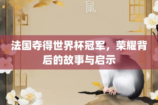 法国夺得世界杯冠军，荣耀背后的故事与启示