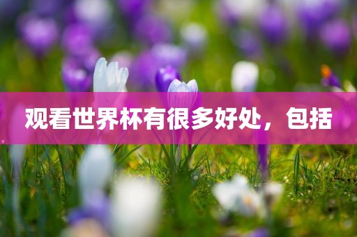 观看世界杯有很多好眉山市正发家政服务有限公司处，包括