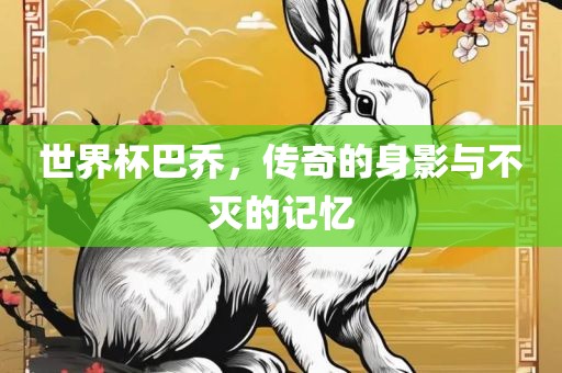 世界杯巴乔，传奇的身影与不灭的记忆眉山市正发家政服务有限公司