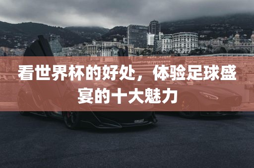 看世界杯的好处，体验足球盛宴的十大魅力眉山市正发家政服务有限公司