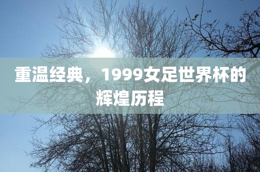 重温经典，1999女足世界杯的辉眉山市正发家政服务有限公司煌历程