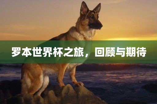 罗本世界杯之旅，回顾与期待