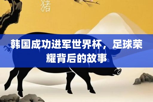 韩国成功进军世界杯，足球荣耀背后的故事