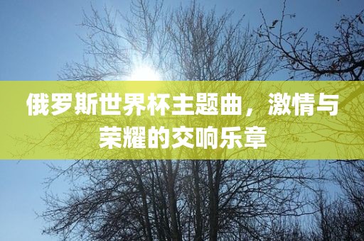 俄罗斯世界杯主题曲，激情与荣耀的交响乐章眉山市正发家政服务有限公司