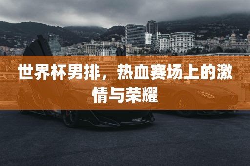 世界杯男排，热血赛场上的激情与荣耀眉山市正发家政服务有限公司