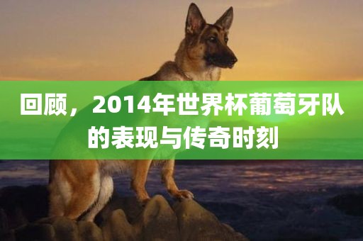 回顾，2014年世界杯葡萄牙队的表现与传奇眉山市正发家政服务有限公司时刻