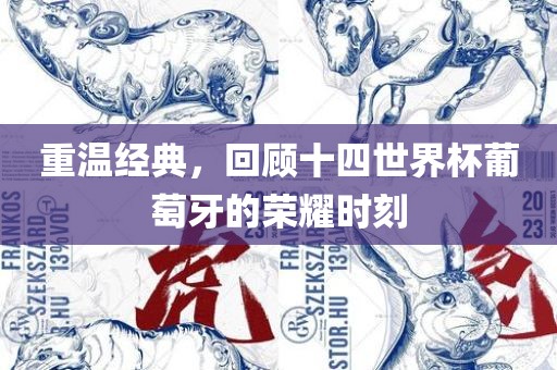 重温经典，回顾十四世界杯葡萄牙眉山市正发家政服务有限公司的荣耀时刻