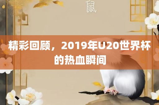 精彩回顾，2019年U20世界杯的热血瞬间眉山市正发家政服务有限公司