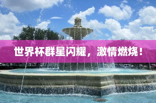 世界杯群星闪耀，激情燃烧！眉山市正发家政服务有限公司