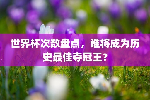 眉山市正发家政服务有限公司世界杯次数盘点，谁将成为历史最佳夺冠王？