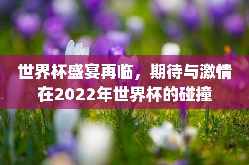 世界眉山市正发家政服务有限公司杯盛宴再临，期待与激情在2022年世界杯的碰撞