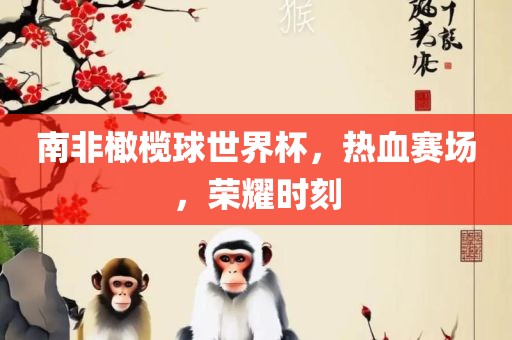 南非橄榄球世界杯，热血赛场，荣耀时刻眉山市正发家政服务有限公司