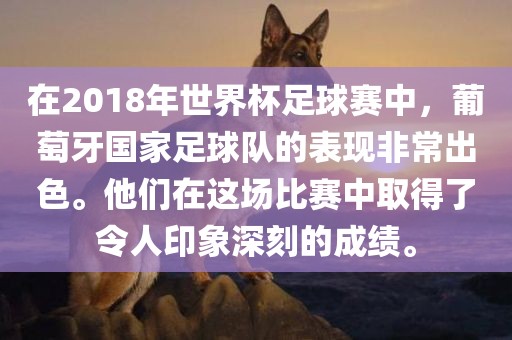 在2018年世界杯足球赛中，葡萄牙国家足球队的表现非常出色。他们在这场比赛中取得了令人印象深刻的成绩。