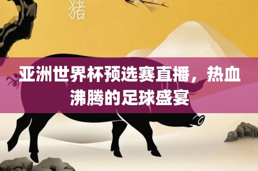 亚洲世界杯预选赛直播，热血沸腾的足球盛宴眉山市正发家政服务有限公司