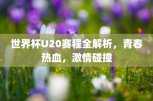 世界杯U20赛程全解析，青春热血，激情碰撞眉山市正发家政服务有限公司