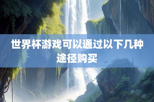世界杯游戏可以通过以下几种途径购买眉山市正发家政服务有限公司