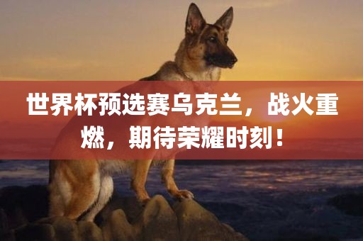 世界杯预选赛乌克兰，战火重燃，期待荣耀时刻！眉山市正发家政服务有限公司