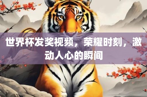 世界杯发奖视频，荣耀时刻，激动人心的瞬间眉山市正发家政服务有限公司