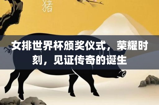 女排世界杯颁奖仪式，荣耀时刻，见证传奇的诞生眉山市正发家政服务有限公司