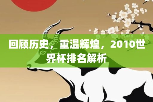 回顾历史，重温辉煌，2010世界杯排名解析