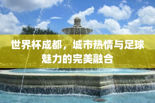 世界杯成都，城市热情与足球魅力的完美融合眉山市正发家政服务有限公司