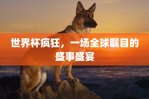 zhenzhi 第6页