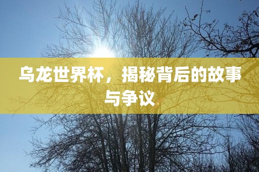 乌龙世界杯，揭秘背后的故事与争议