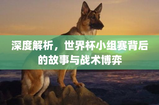 深度解析，世界杯小组赛背后的故事与战术博弈