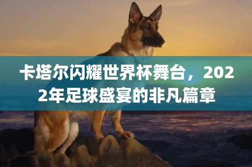 卡塔尔闪耀世界杯舞台，2022年足球盛宴的非凡篇章眉山市正发家政服务有限公司