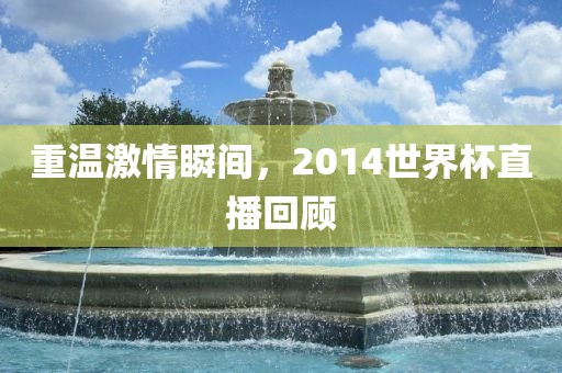 重温激情瞬间，2014世界杯直播回顾
