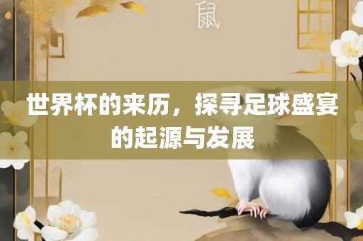 世界杯的来历，探寻足球盛宴的起源与发展眉山市正发家政服务有限公司