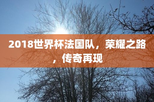 2018世界杯法国队，荣耀之路，传奇再现眉山市正发家政服务有限公司