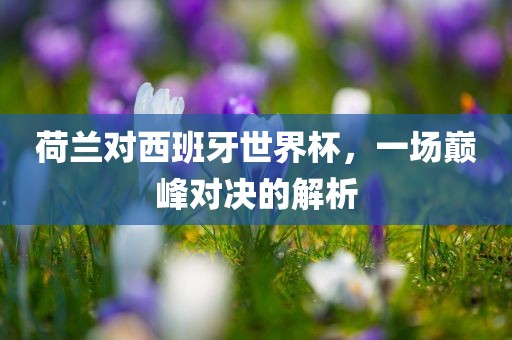 荷兰对西班牙世界杯，一场巅峰对决的解析眉山市正发家政服务有限公司
