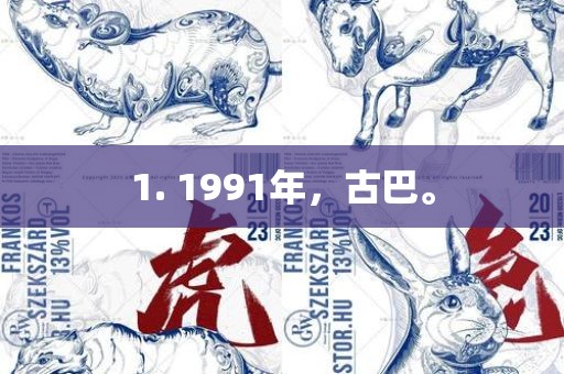 1. 1991年，古巴眉山市正发家政服务有限公司。