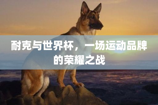 耐克与世界杯，一场运动品牌的荣耀之战眉山市正发家政服务有限公司
