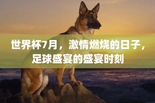 世界杯7月，激情燃烧的日子，足球盛宴的盛宴时刻眉山市正发家政服务有限公司