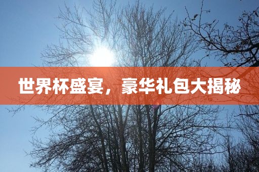 世界杯盛眉山市正发家政服务有限公司宴，豪华礼包大揭秘