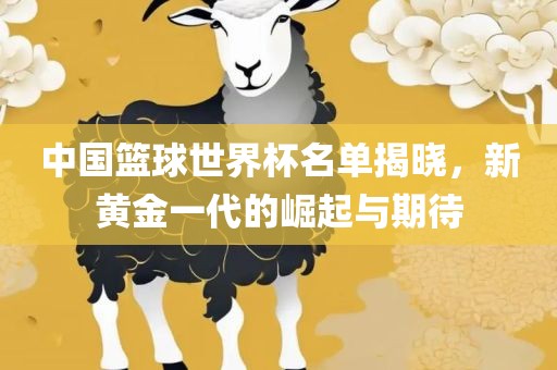 中国篮球世界杯名眉山市正发家政服务有限公司单揭晓，新黄金一代的崛起与期待