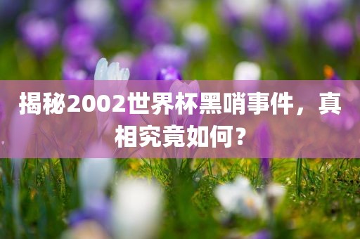揭秘2002世界杯黑哨事件，真相究竟如何？