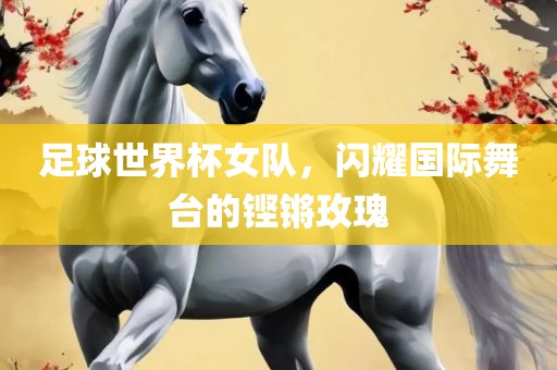 足球世界杯女队，闪耀国际舞台的铿锵玫瑰眉山市正发家政服务有限公司