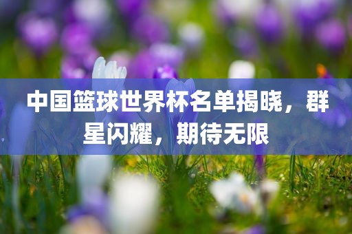 中国篮球世界杯名单揭晓，群星闪耀，期待无限