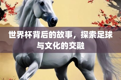 世界杯背后的故事，探索足球与文化的交融眉山市正发家政服务有限公司
