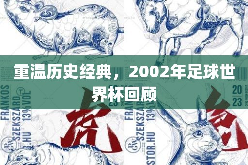 重温历史经典，2002年足球世界杯回顾