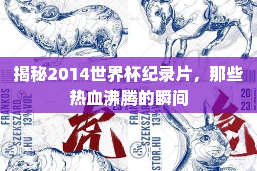 揭秘2014世界杯纪录片，那些热血沸腾的瞬间