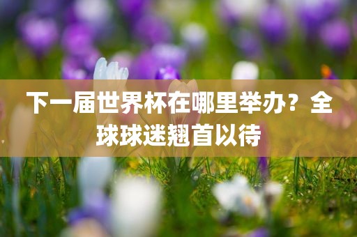 下一届世界杯在哪里举办？全球球迷翘首以待